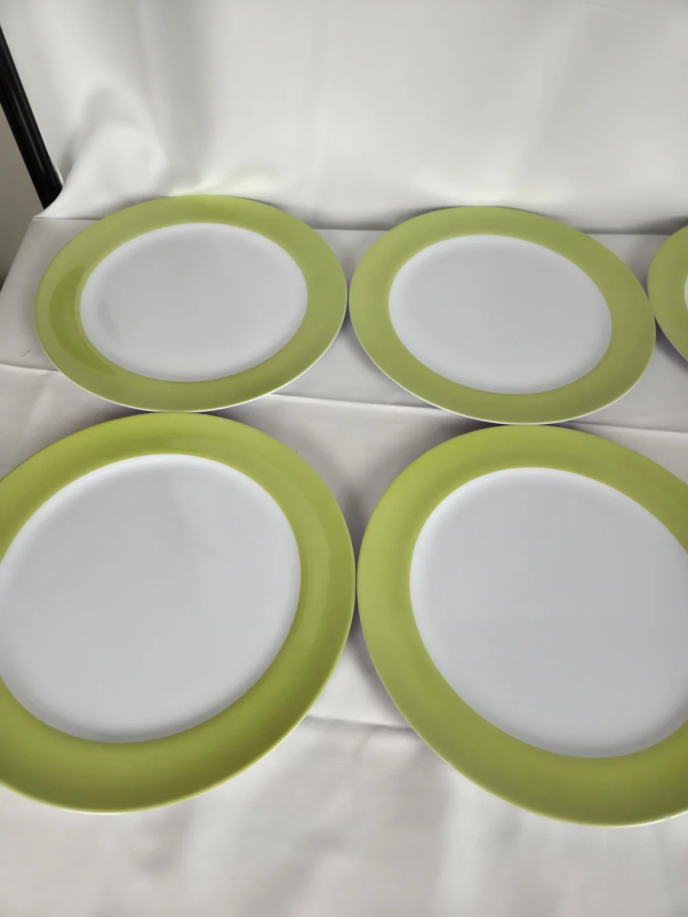 Plastic Picnic Plates 11